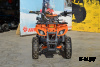 Квадроцикл ATV Target Next