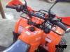 Квадроцикл ATV Termit Libre