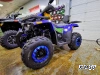 Квадроцикл PROMAX WILD 300 LUX (2024)