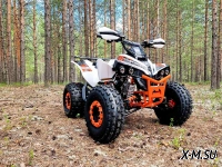 Квадроцикл PROMAX SPAWN 180