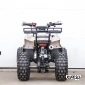 Квадроцикл STALKER 125 Fox