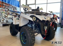 Квадроцикл PROMAX RENEGADE 300 WINCH