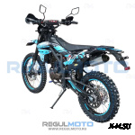 Мотоцикл Regulmoto ZR PR 300 4 valves 5 gear