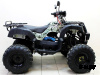 Квадроцикл ATV Avenger Tungus 250