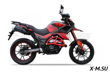 Мотоцикл турэндуро ROCKOT HOUND 250 LUX (красный, ЭПТС) 