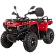 Квадроцикл Bizon YK250 LUX EFI